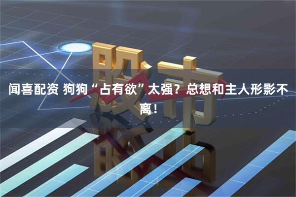 闻喜配资 狗狗“占有欲”太强？总想和主人形影不离！