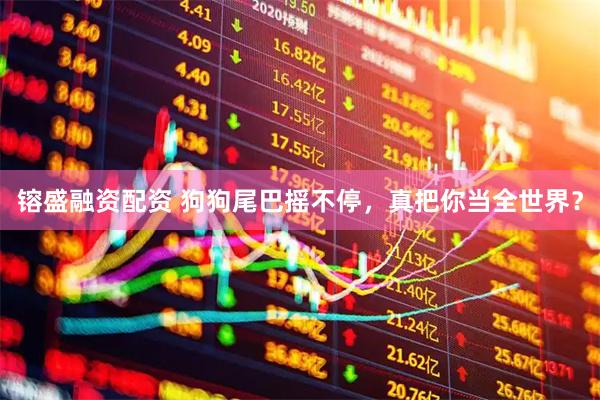 镕盛融资配资 狗狗尾巴摇不停，真把你当全世界？