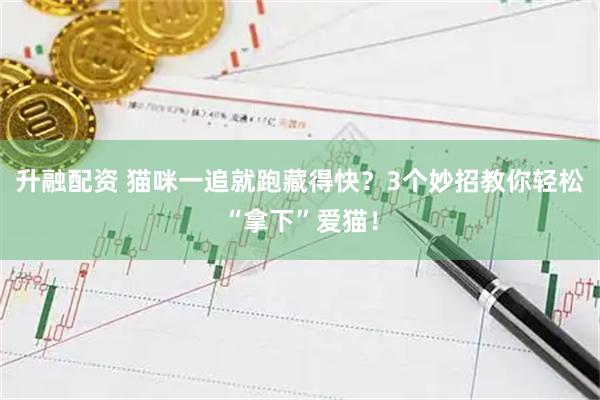 升融配资 猫咪一追就跑藏得快？3个妙招教你轻松“拿下”爱猫！