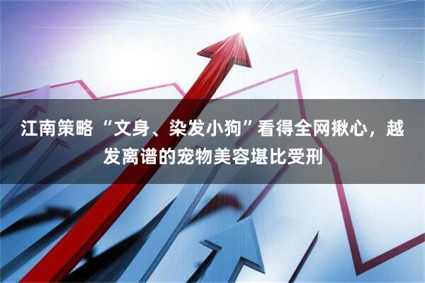 江南策略 “文身、染发小狗”看得全网揪心，越发离谱的宠物美容堪比受刑