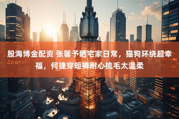 股海博金配资 张馨予晒宅家日常，猫狗环绕超幸福，何捷穿短裤耐心梳毛太温柔