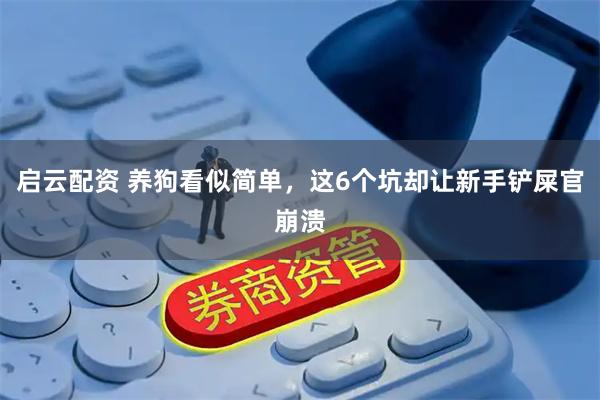 启云配资 养狗看似简单，这6个坑却让新手铲屎官崩溃