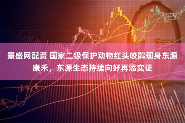 景盛网配资 国家二级保护动物红头咬鹃现身东源康禾，东源生态持续向好再添实证