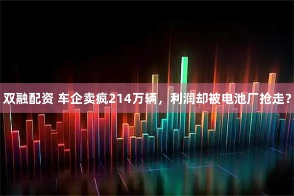 双融配资 车企卖疯214万辆，利润却被电池厂抢走？