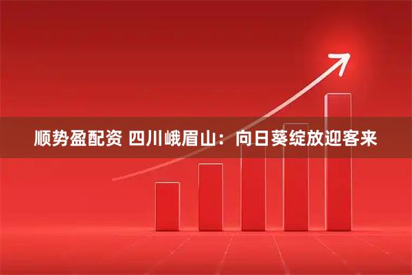 顺势盈配资 四川峨眉山：向日葵绽放迎客来