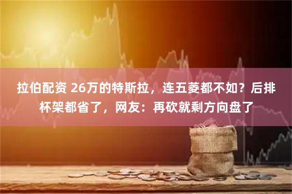 拉伯配资 26万的特斯拉，连五菱都不如？后排杯架都省了，网友：再砍就剩方向盘了