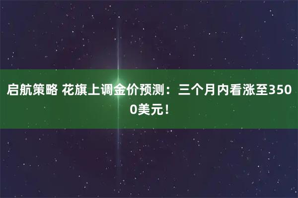 启航策略 花旗上调金价预测：三个月内看涨至3500美元！