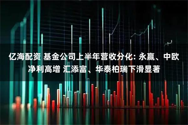 亿海配资 基金公司上半年营收分化: 永赢、中欧净利高增 汇添富、华泰柏瑞下滑显著