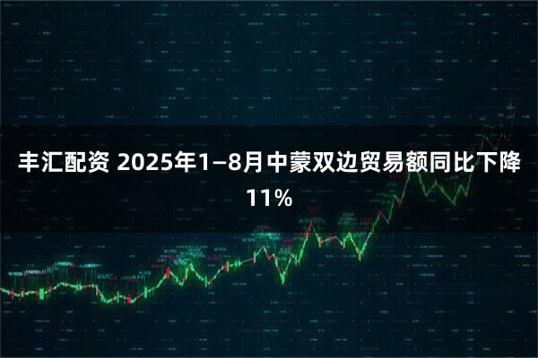 丰汇配资 2025年1—8月中蒙双边贸易额同比下降11%