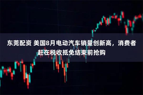 东莞配资 美国8月电动汽车销量创新高，消费者赶在税收抵免结束前抢购